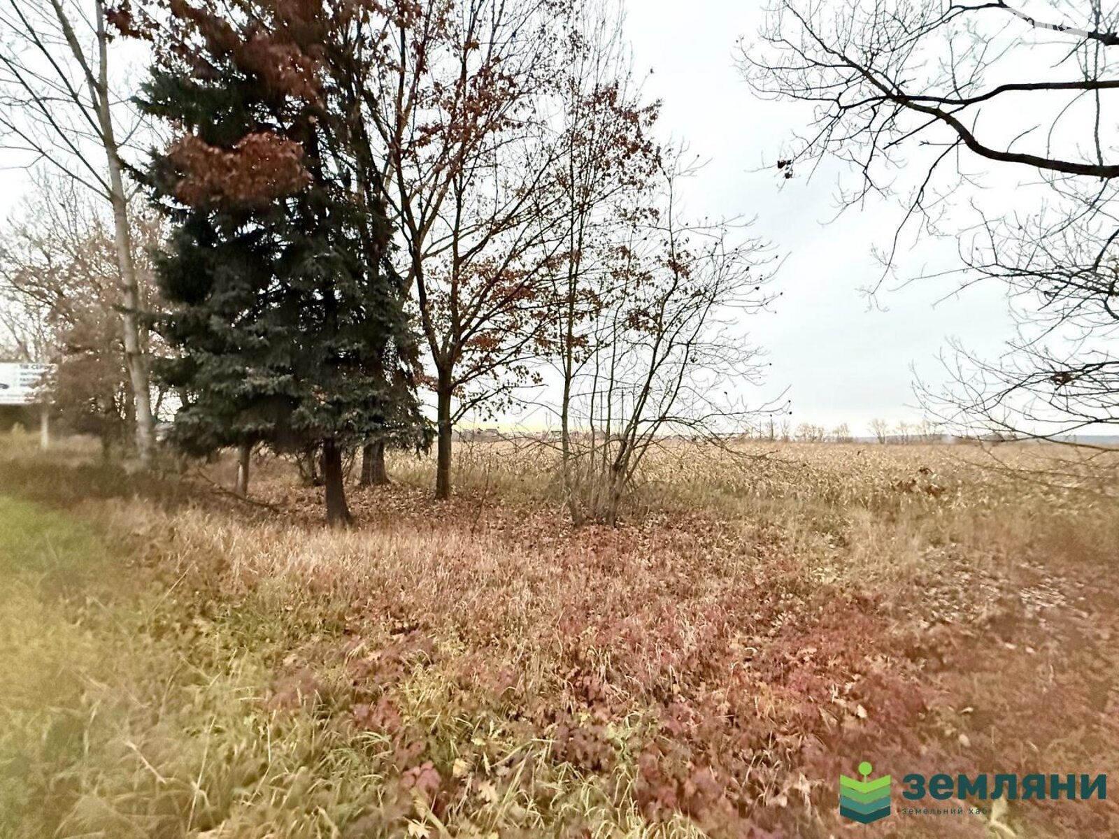 Земельна ділянка сільськогосподарського призначення в Угорниках, площа 19.81 сотки фото 1 Земельна ділянка сільськогосподарського призначення в Угорниках, площа 19.81 сотки фото 1