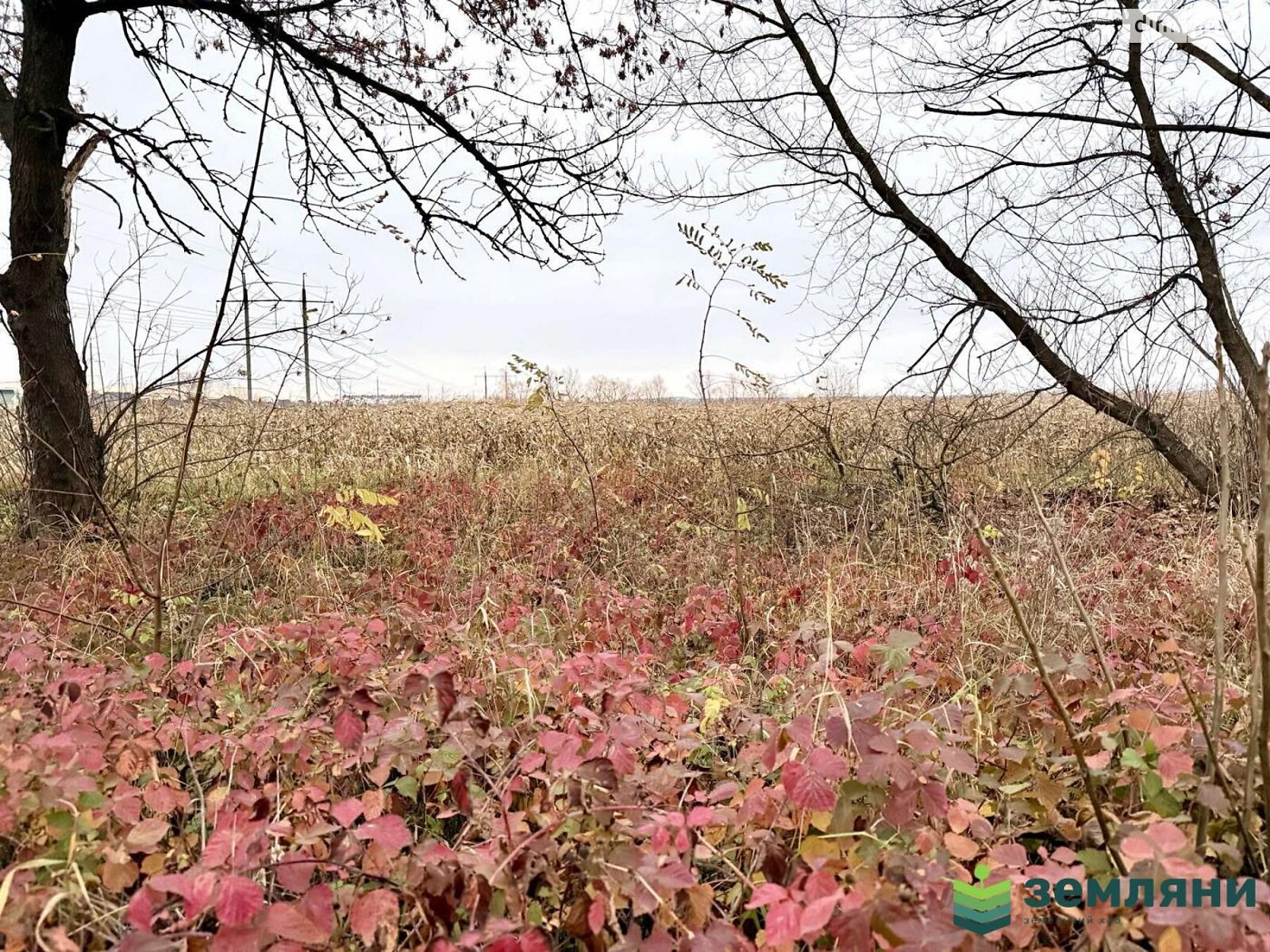 Земельна ділянка сільськогосподарського призначення в Угорниках, площа 19.81 сотки фото 1 Земельна ділянка сільськогосподарського призначення в Угорниках, площа 19.81 сотки фото 1
