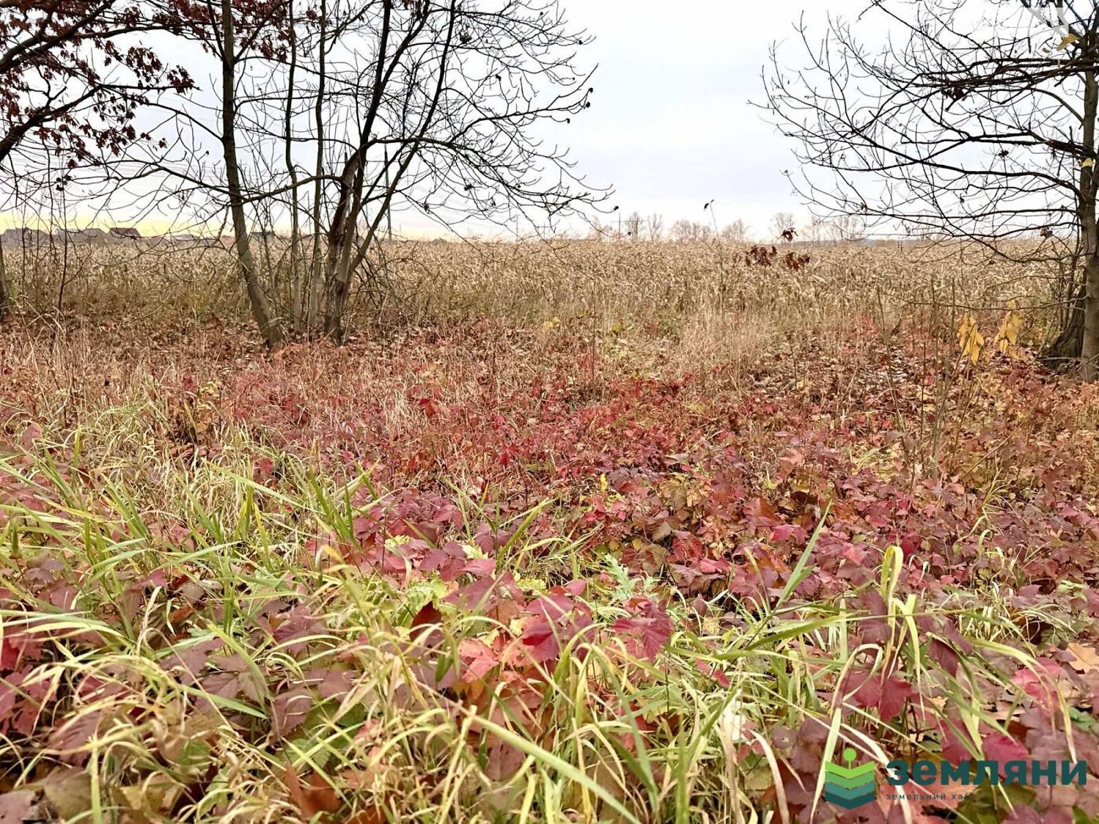 Земельна ділянка сільськогосподарського призначення в Угорниках, площа 19.81 сотки фото 1 Земельна ділянка сільськогосподарського призначення в Угорниках, площа 19.81 сотки фото 1