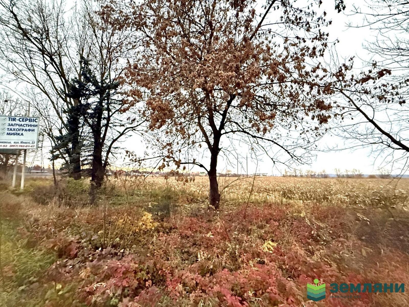 Земельна ділянка сільськогосподарського призначення в Угорниках, площа 19.81 сотки фото 1 Земельна ділянка сільськогосподарського призначення в Угорниках, площа 19.81 сотки фото 1