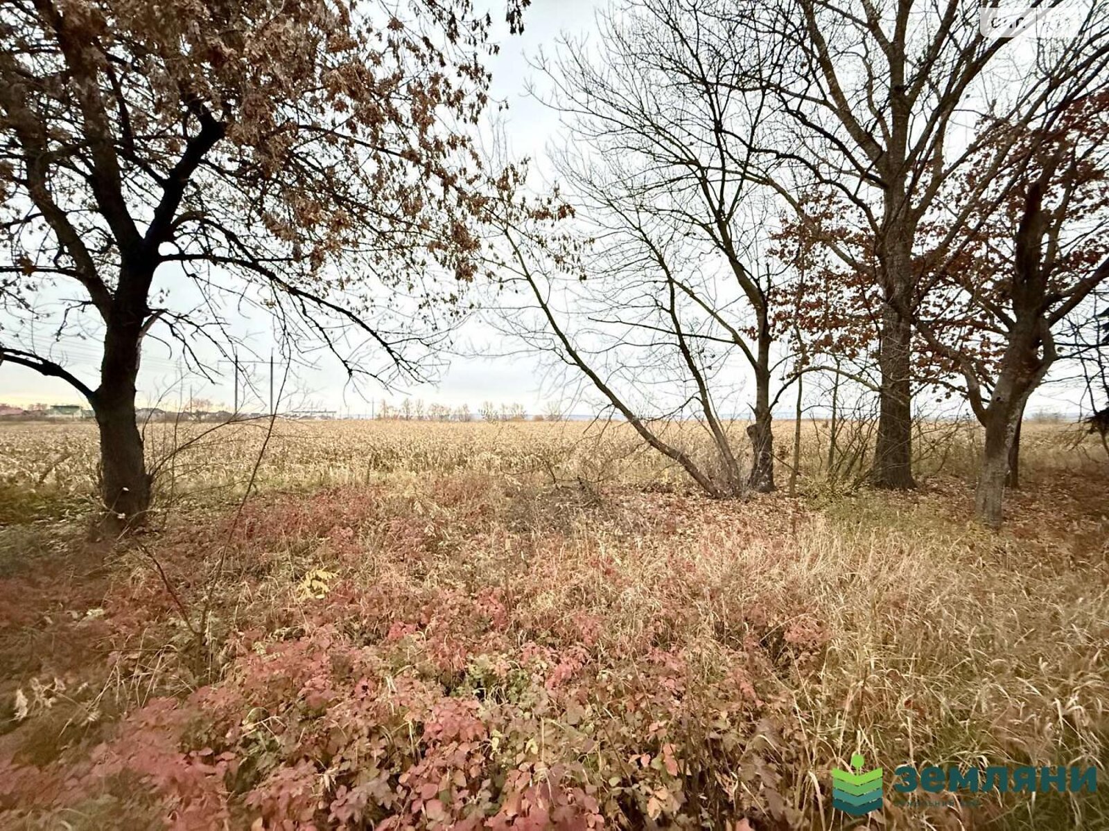 Земельна ділянка сільськогосподарського призначення в Угорниках, площа 19.81 сотки фото 1 Земельна ділянка сільськогосподарського призначення в Угорниках, площа 19.81 сотки фото 1