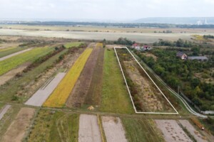 Земельна ділянка сільськогосподарського призначення в Угринові, площа 50 соток фото 2