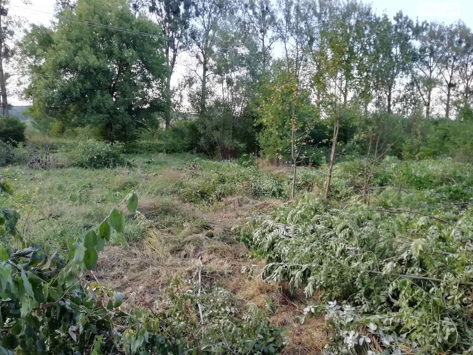 Земельный участок сельскохозяйственного назначения в Угринове, площадь 8 соток фото 1