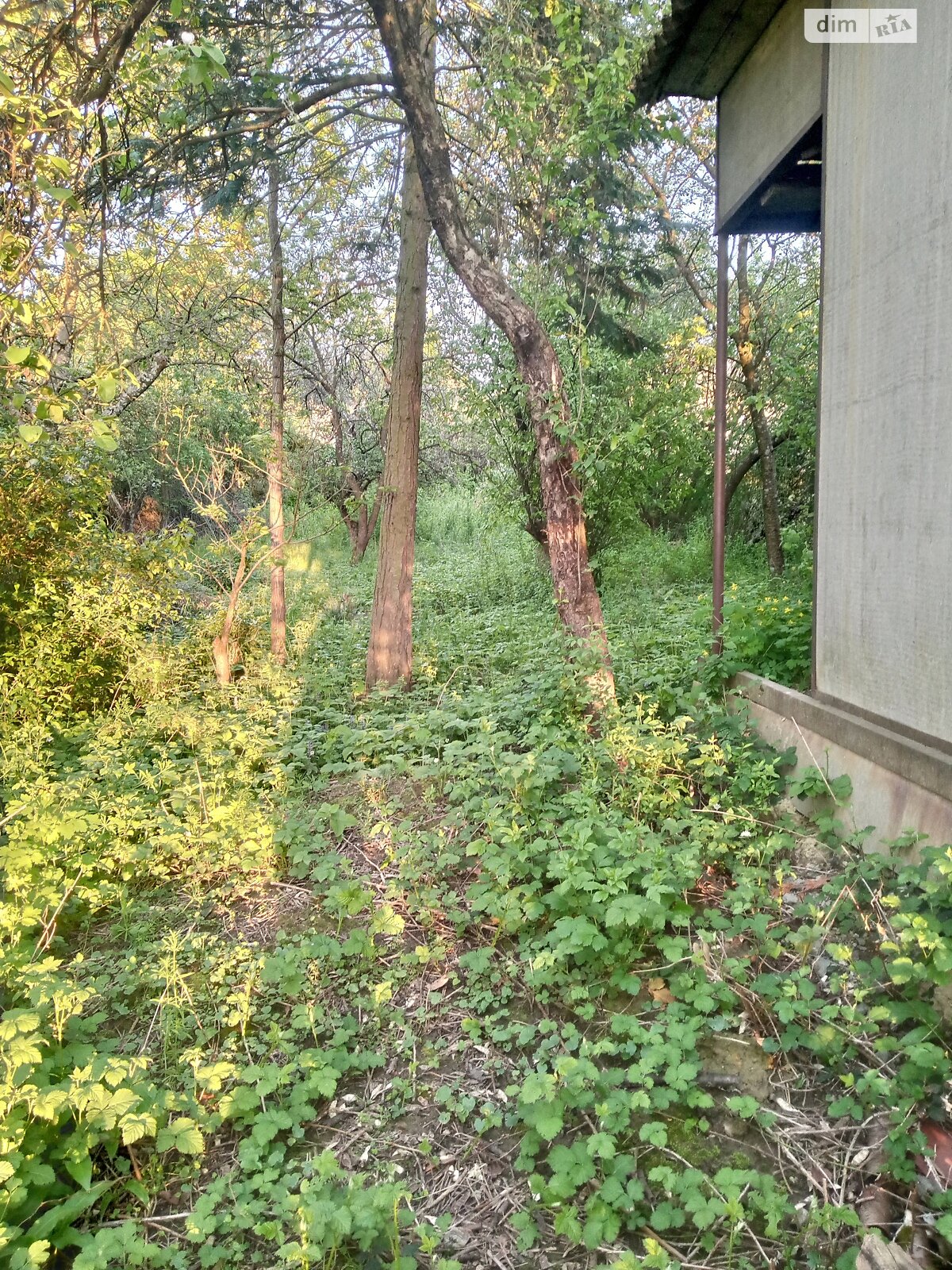 Земля сільськогосподарського призначення в Ужгороді, район Горяни, площа 6 соток фото 1