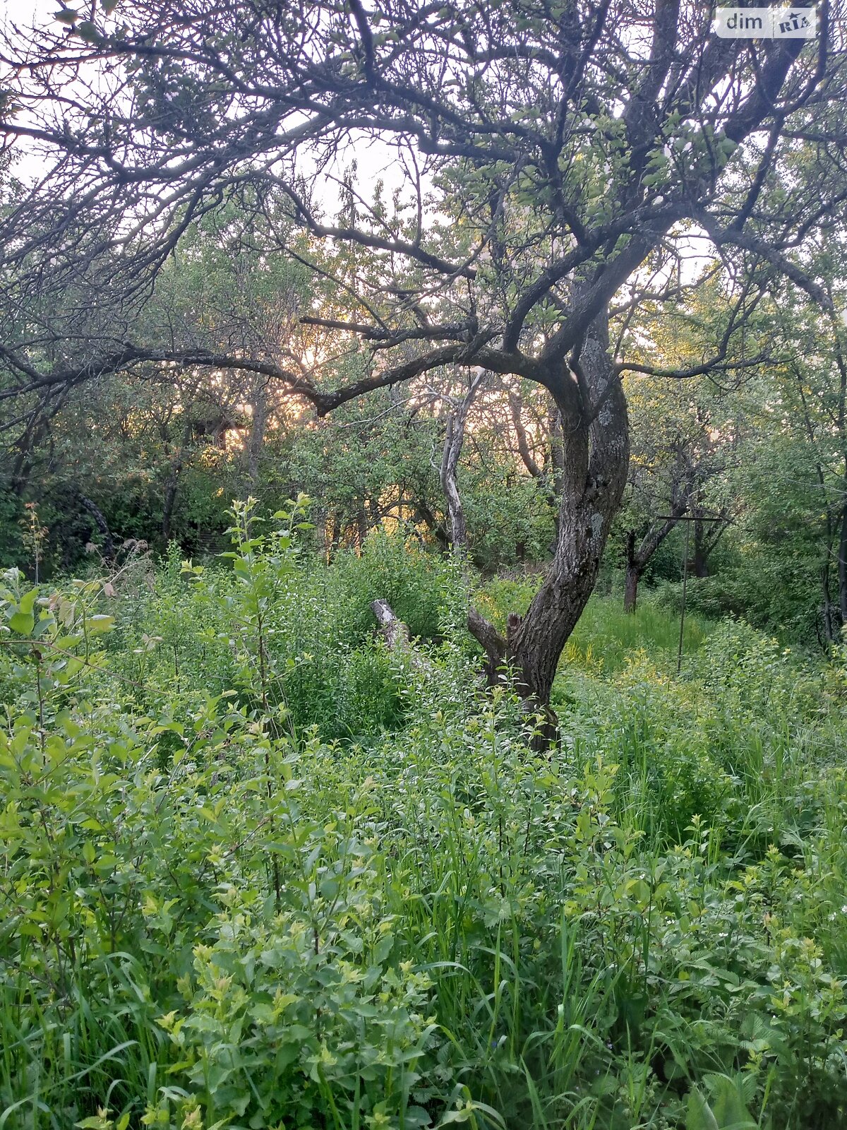 Земля сільськогосподарського призначення в Ужгороді, район Горяни, площа 6 соток фото 1