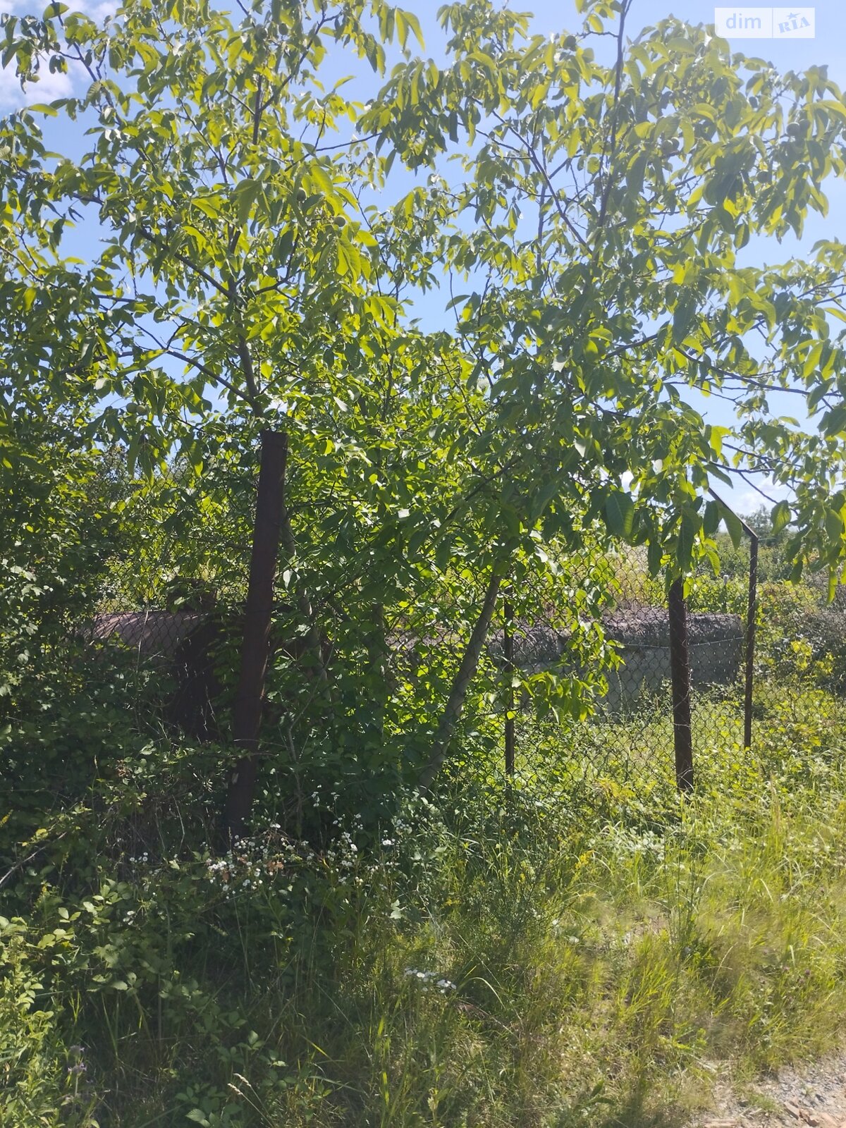 Земля сельскохозяйственного назначения в Ужгороде, район Горяны, площадь 6 соток фото 1 Земля сельскохозяйственного назначения в Ужгороде, район Горяны, площадь 6 соток фото 1
