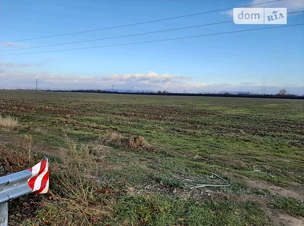 Земля сельскохозяйственного назначения в селе Холмок, площадь 240 соток фото 1 Земля сельскохозяйственного назначения в селе Холмок, площадь 240 соток фото 1