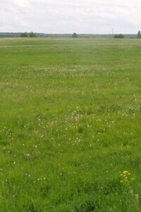 Земельна ділянка сільськогосподарського призначення в Коритняни, площа 0.3109 Га фото 1