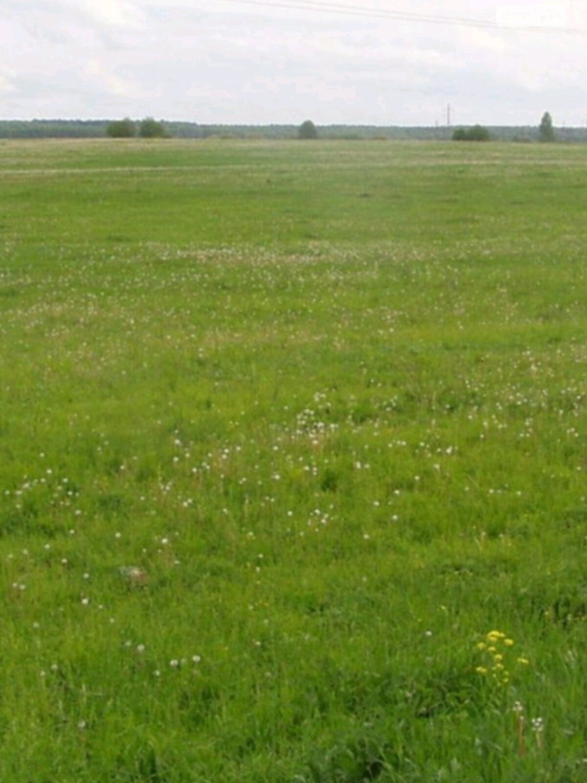 Земельна ділянка сільськогосподарського призначення в Коритняни, площа 0.3109 Га фото 1