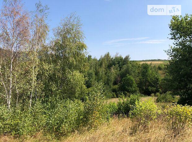 Земля сельскохозяйственного назначения в селе Ореховица, площадь 50 соток фото 1 Земля сельскохозяйственного назначения в селе Ореховица, площадь 50 соток фото 1