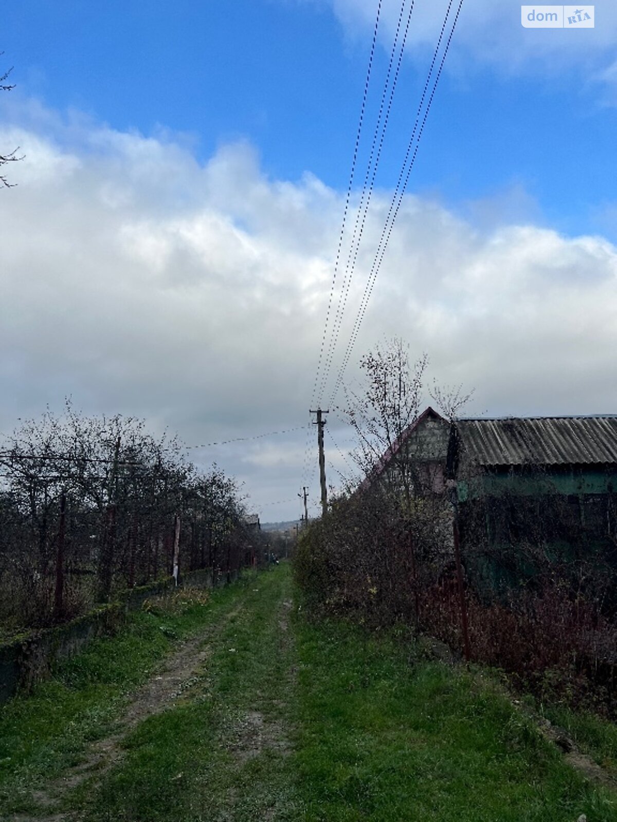 Земельна ділянка сільськогосподарського призначення в Оріховиці, площа 30 соток фото 1