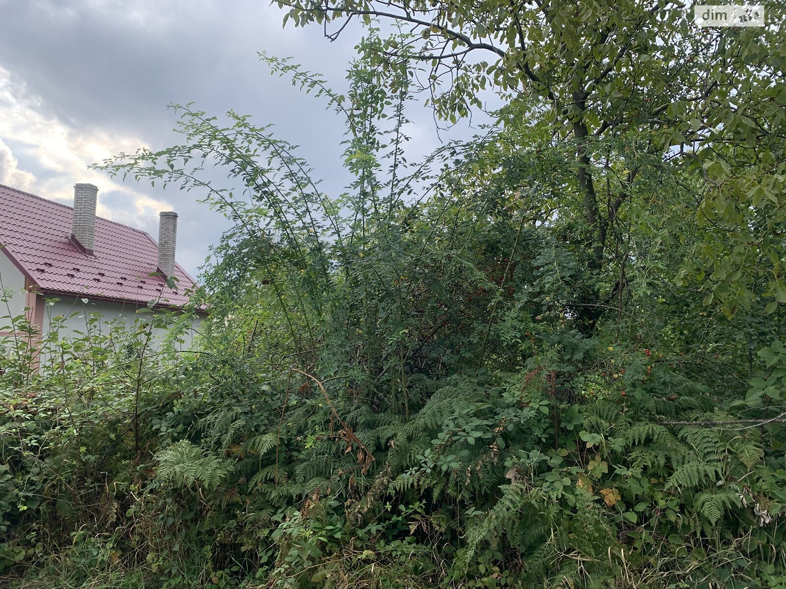 Земля сельскохозяйственного назначения в Ужгороде, район Шахта, площадь 5 соток фото 1