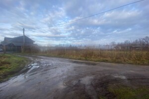 Земельна ділянка сільськогосподарського призначення в Сторожниці, площа 60 соток фото 2