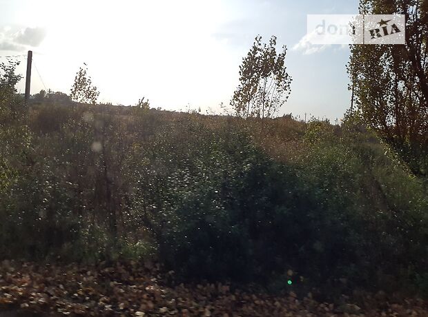 Земля сельскохозяйственного назначения в селе Сторожница, площадь 16 соток фото 2 Земля сельскохозяйственного назначения в селе Сторожница, площадь 16 соток фото 2