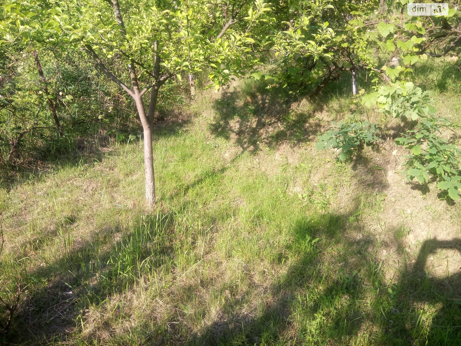 Земельный участок сельскохозяйственного назначения в Ужгороде, площадь 7.25 сотки фото 1