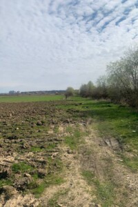 Земельна ділянка сільськогосподарського призначення в Ужгороді, площа 8 соток фото 2