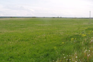 Земельный участок сельскохозяйственного назначения в Ужгороде, площадь 17.6 сотки фото 1 Земельный участок сельскохозяйственного назначения в Ужгороде, площадь 17.6 сотки фото 1