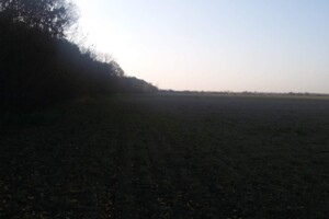 Земельный участок сельскохозяйственного назначения в Ужове, площадь 2.16 Га фото 2