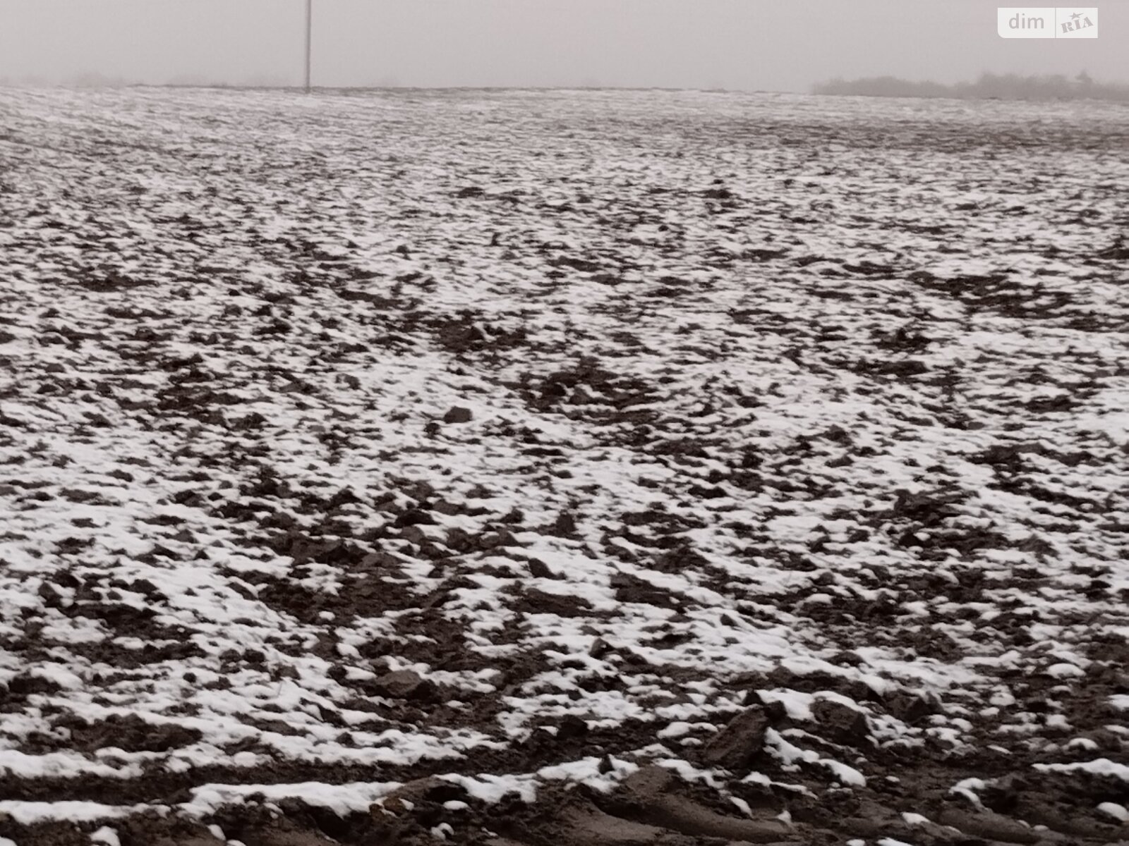 Земельный участок сельскохозяйственного назначения в Ужове, площадь 2.16 Га фото 1