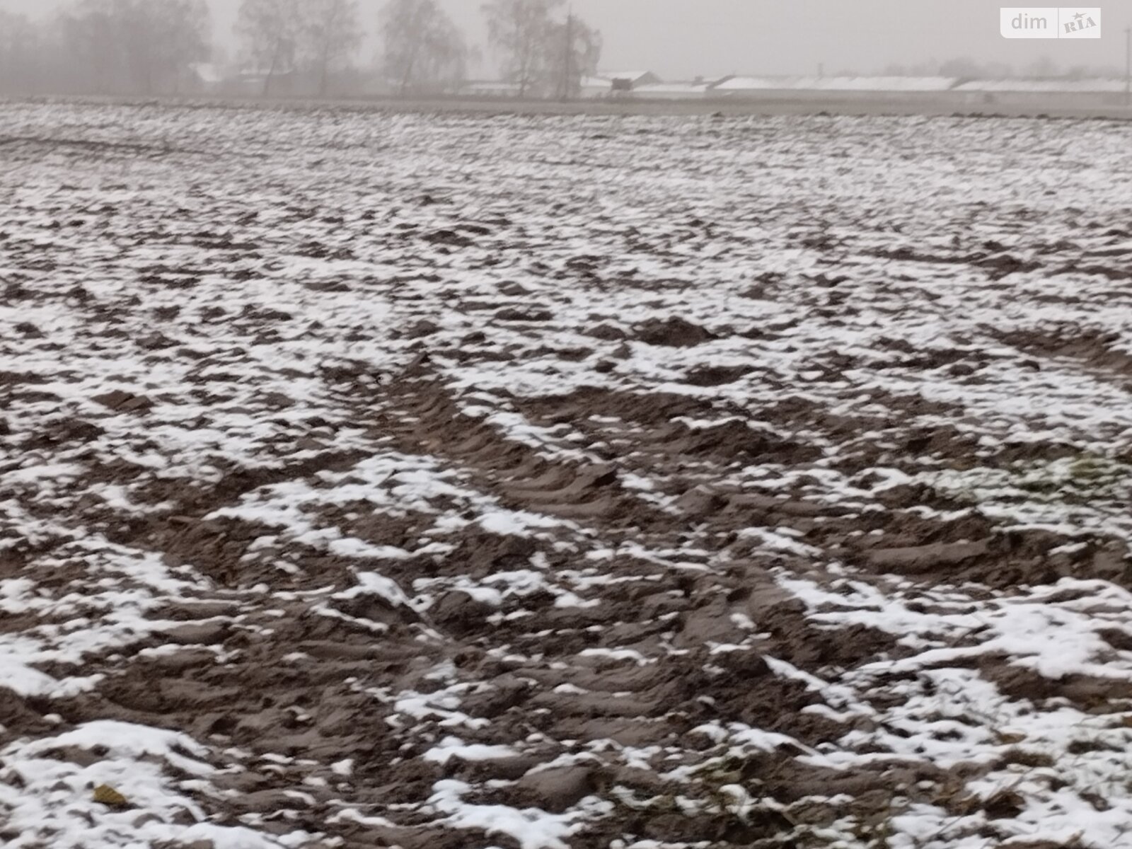 Земельный участок сельскохозяйственного назначения в Ужове, площадь 2.16 Га фото 1