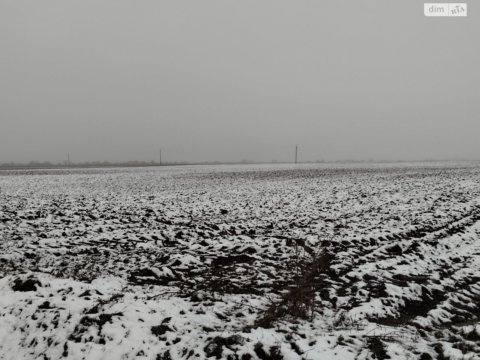 Земельный участок сельскохозяйственного назначения в Ужове, площадь 2.16 Га фото 1