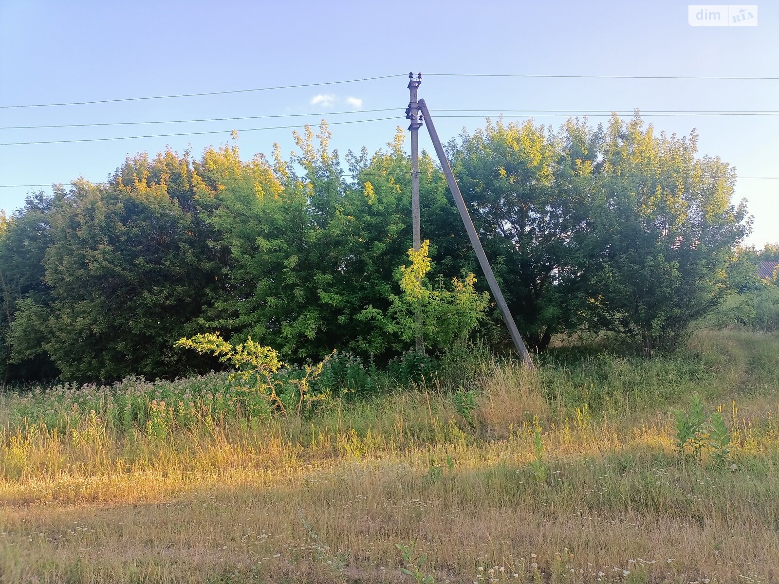 Земельный участок сельскохозяйственного назначения в Уляниках, площадь 50 соток фото 1