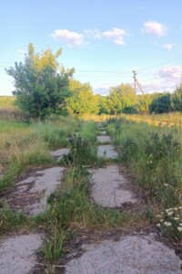 Земельный участок сельскохозяйственного назначения в Уляниках, площадь 50 соток фото 2