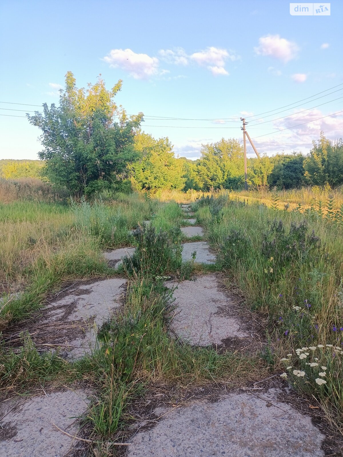 Земельный участок сельскохозяйственного назначения в Уляниках, площадь 50 соток фото 1