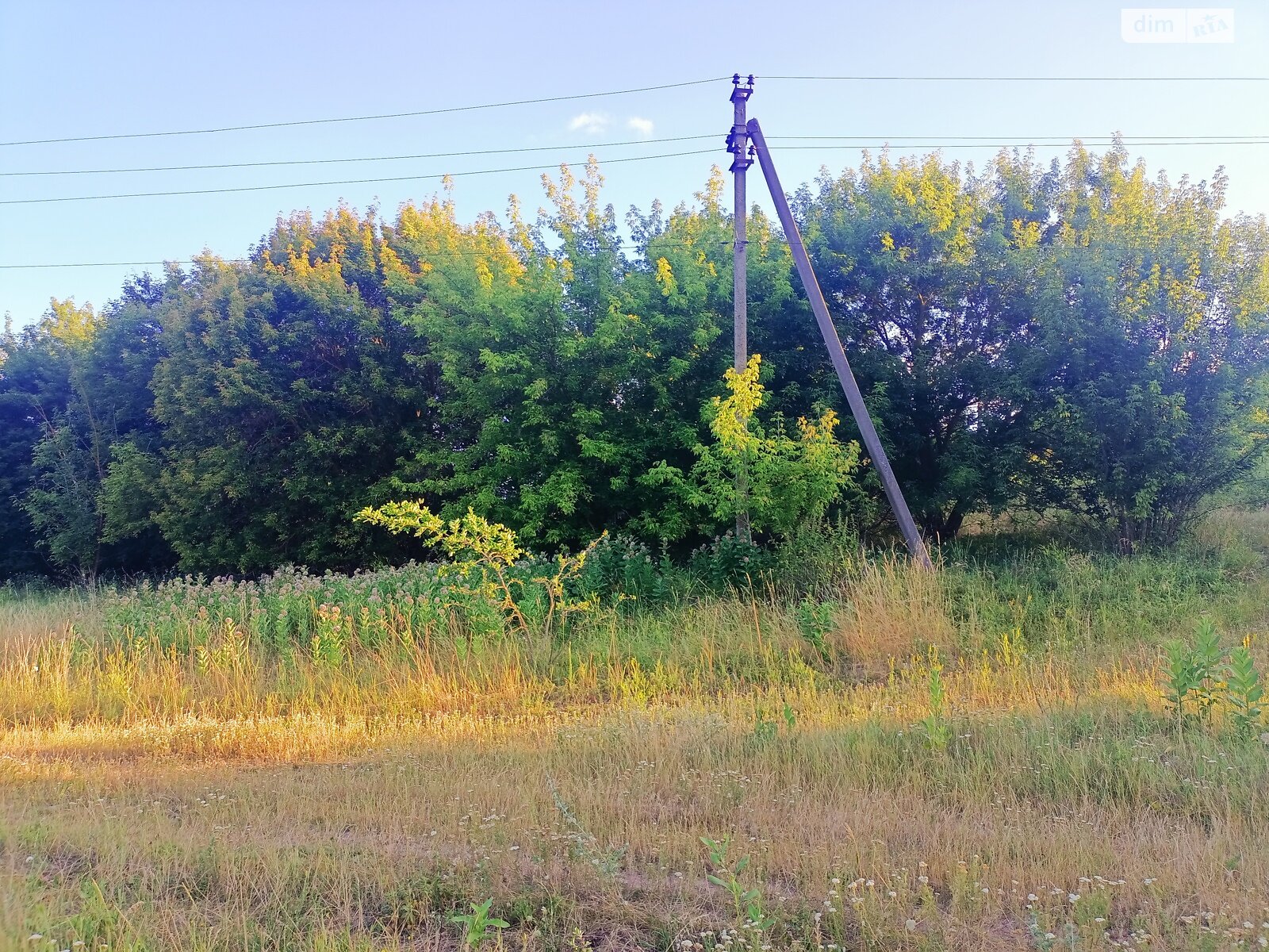 Земельный участок сельскохозяйственного назначения в Уляниках, площадь 50 соток фото 1