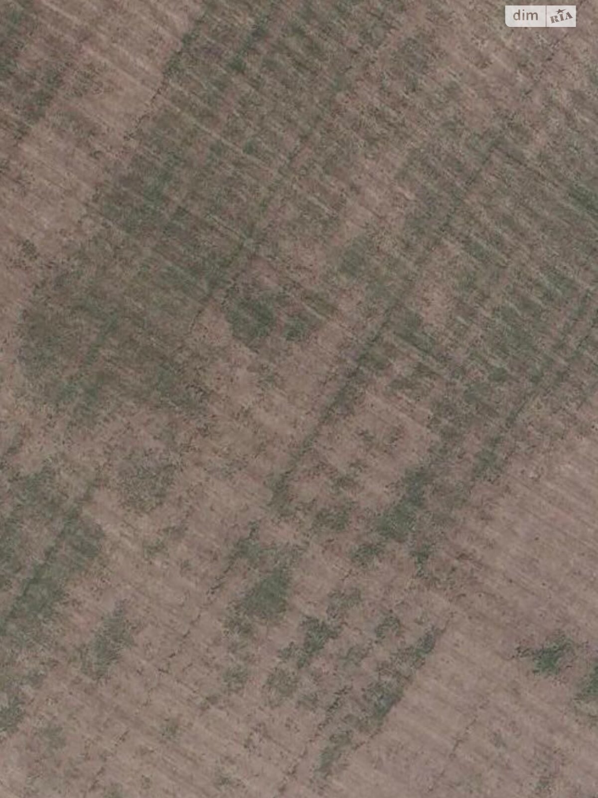 Земельный участок сельскохозяйственного назначения в Успенке, площадь 2.8489 Га фото 1 Земельный участок сельскохозяйственного назначения в Успенке, площадь 2.8489 Га фото 1