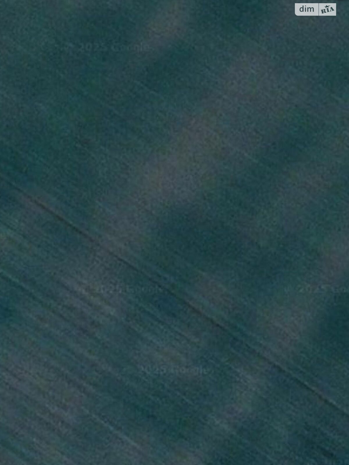 Земельный участок сельскохозяйственного назначения в Васильевке, площадь 4.3399 Га фото 1 Земельный участок сельскохозяйственного назначения в Васильевке, площадь 4.3399 Га фото 1