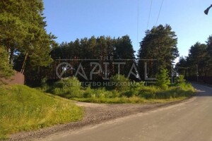 Земельна ділянка сільськогосподарського призначення в Глевасі, площа 335 соток фото 2