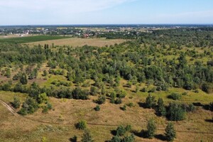 Земельный участок сельскохозяйственного назначения в Калиновке, площадь 630 соток фото 2