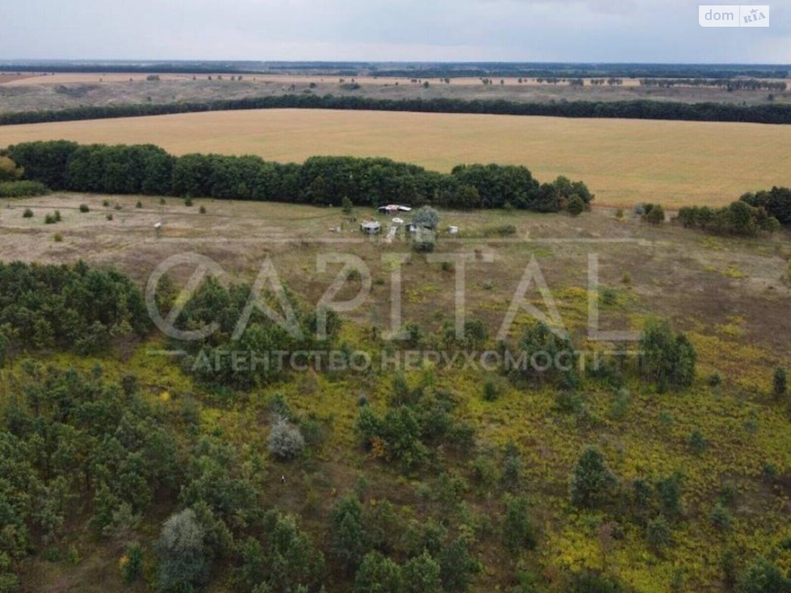 Земля сільськогосподарського призначення в Василькові, район Васильків, площа 2000 соток фото 1