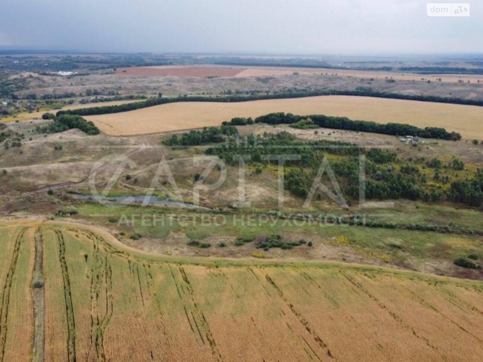 Земля сільськогосподарського призначення в Василькові, район Васильків, площа 2000 соток фото 1