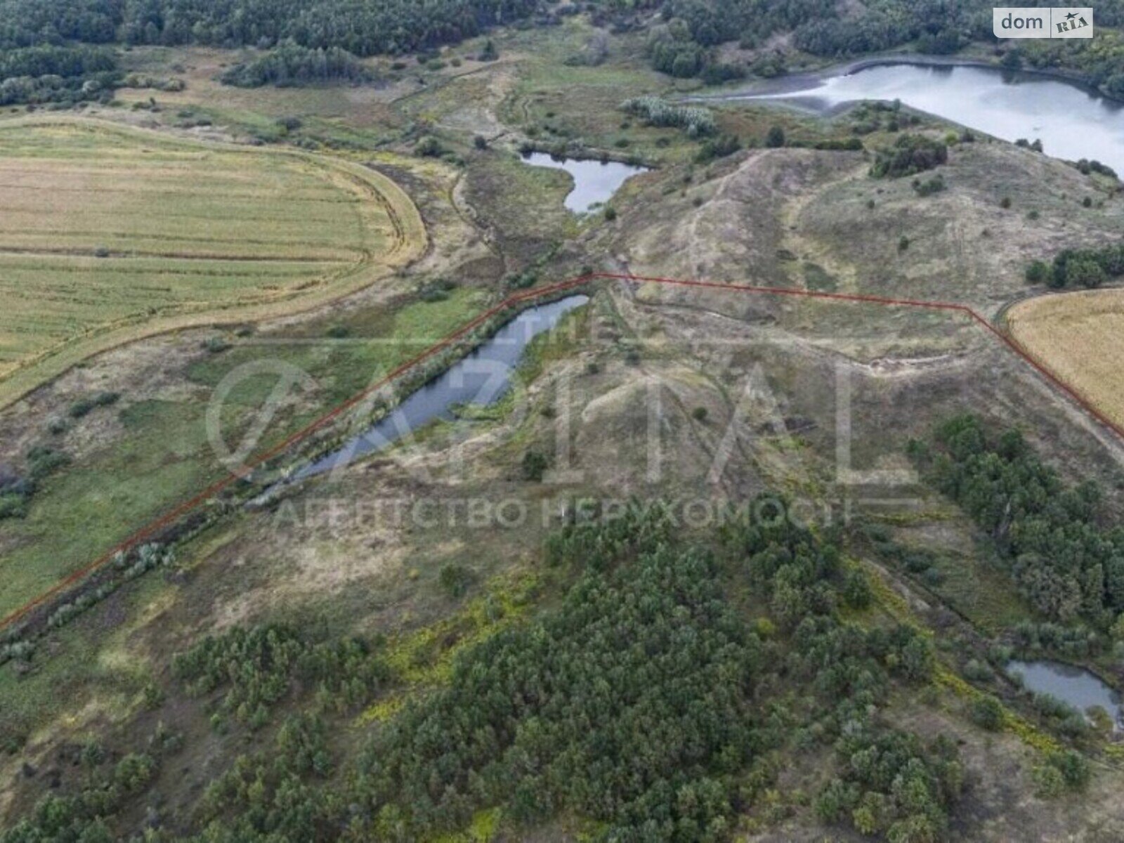 Земля сільськогосподарського призначення в Василькові, район Васильків, площа 2000 соток фото 1