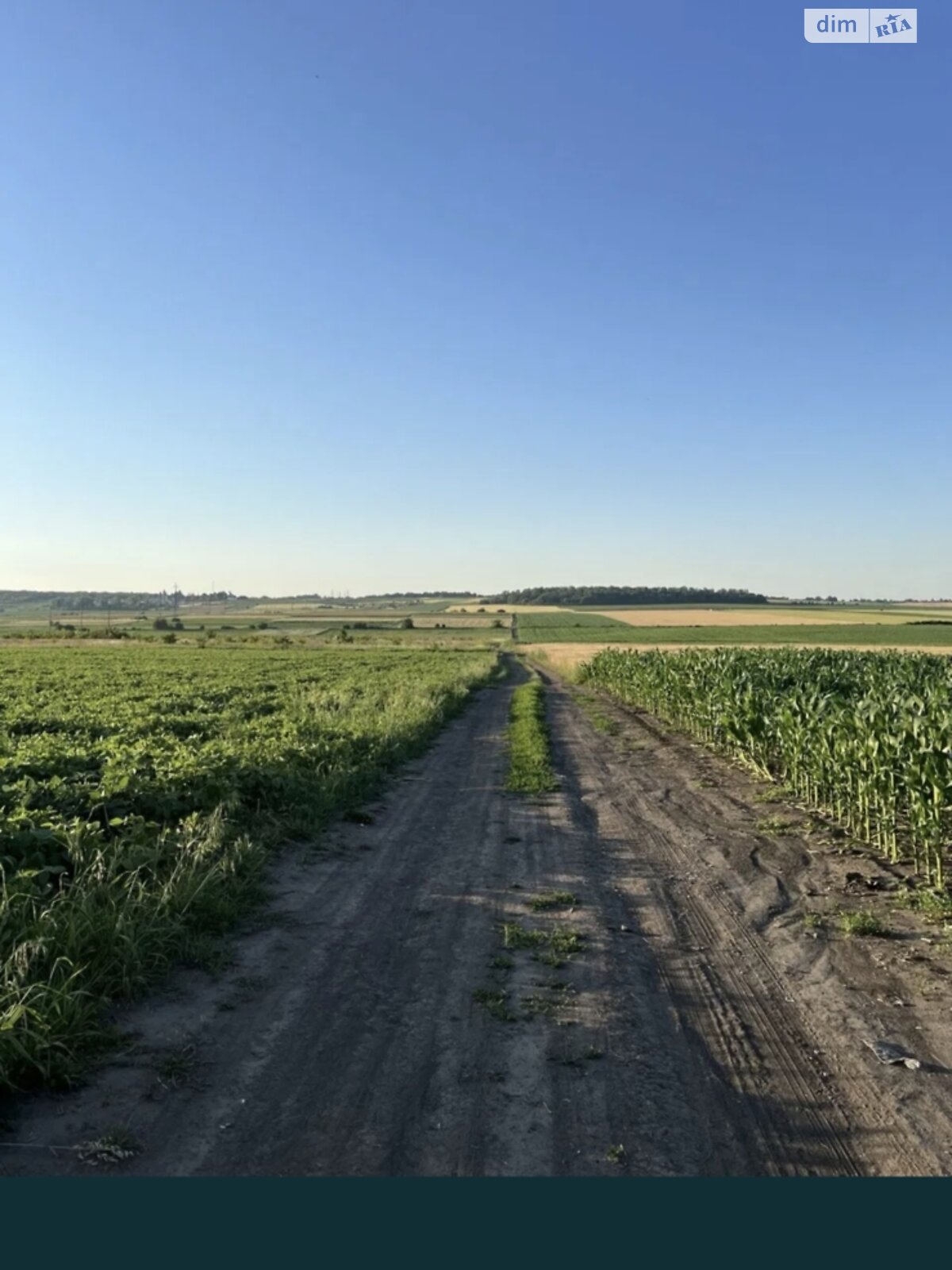 Земля сельскохозяйственного назначения в Великой Березовице, район Кемпинг, площадь 0.0712 сотки фото 1