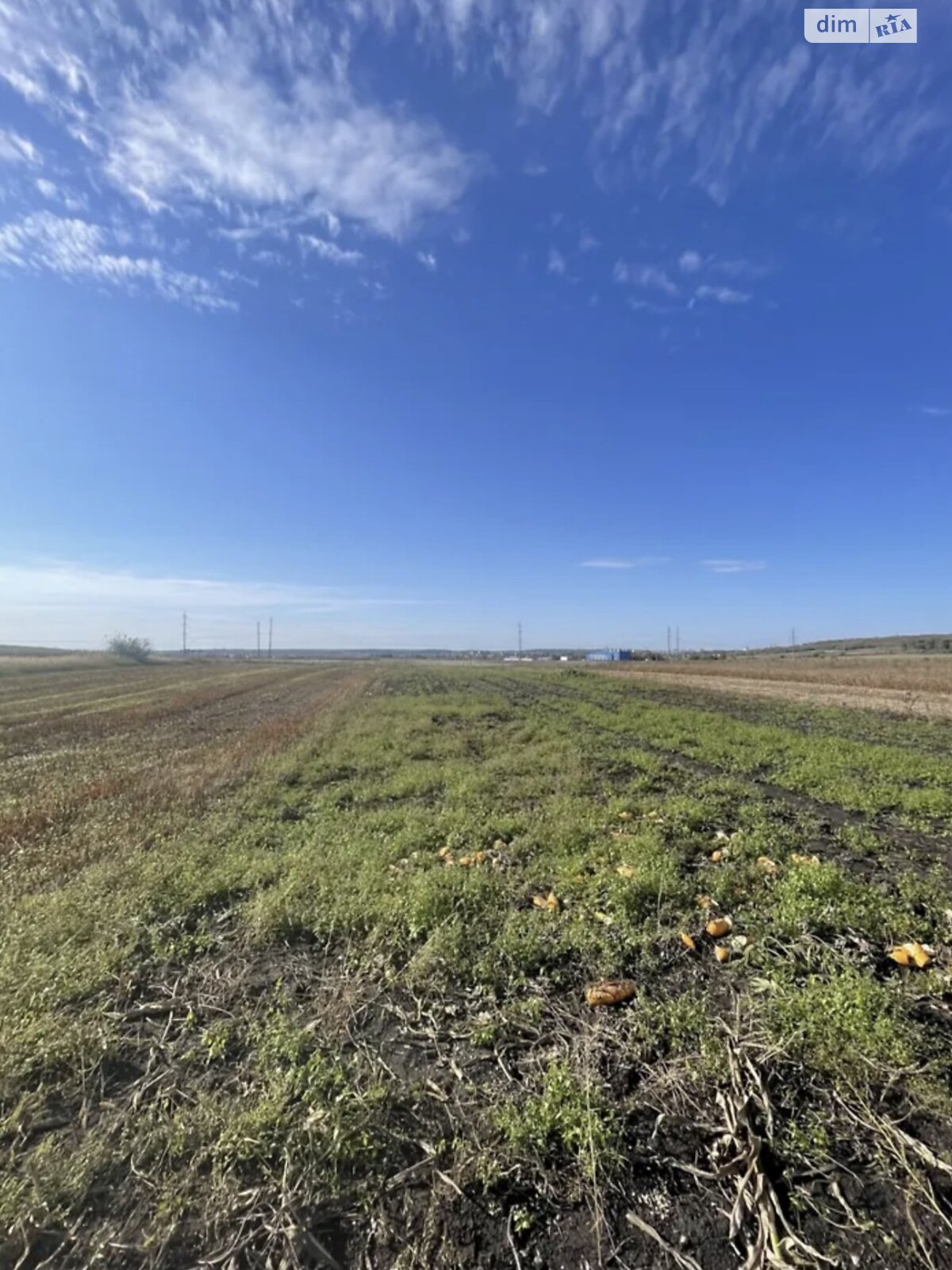 Земля сільськогосподарського призначення в Великій Березовиці, район Кемпінг, площа 7.12 сотки фото 1