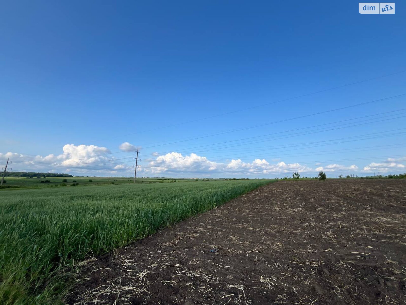 Земля сільськогосподарського призначення в Великій Березовиці, район Кемпінг, площа 8 соток фото 1 Земля сільськогосподарського призначення в Великій Березовиці, район Кемпінг, площа 8 соток фото 1
