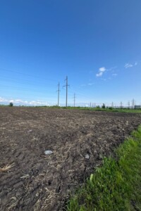Земля сільськогосподарського призначення в Великій Березовиці, район Кемпінг, площа 8 соток фото 2