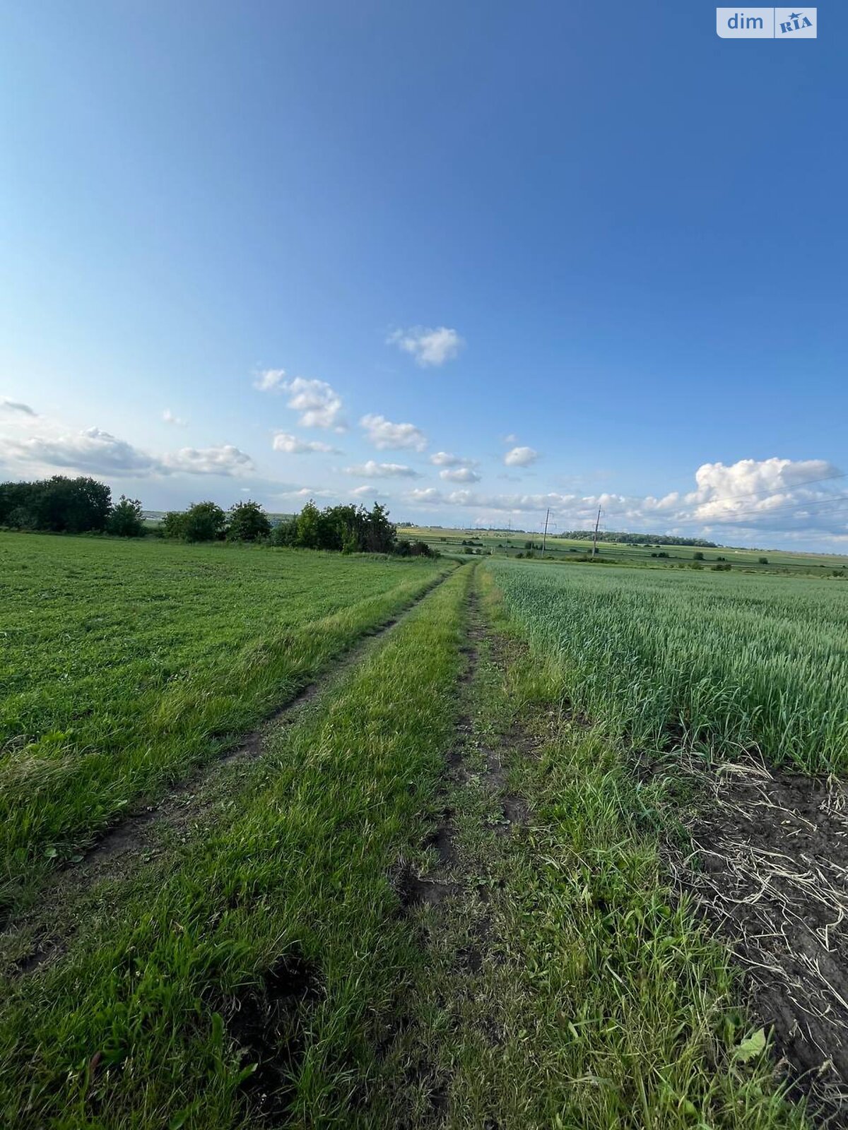 Земля сільськогосподарського призначення в Великій Березовиці, район Кемпінг, площа 8 соток фото 1 Земля сільськогосподарського призначення в Великій Березовиці, район Кемпінг, площа 8 соток фото 1