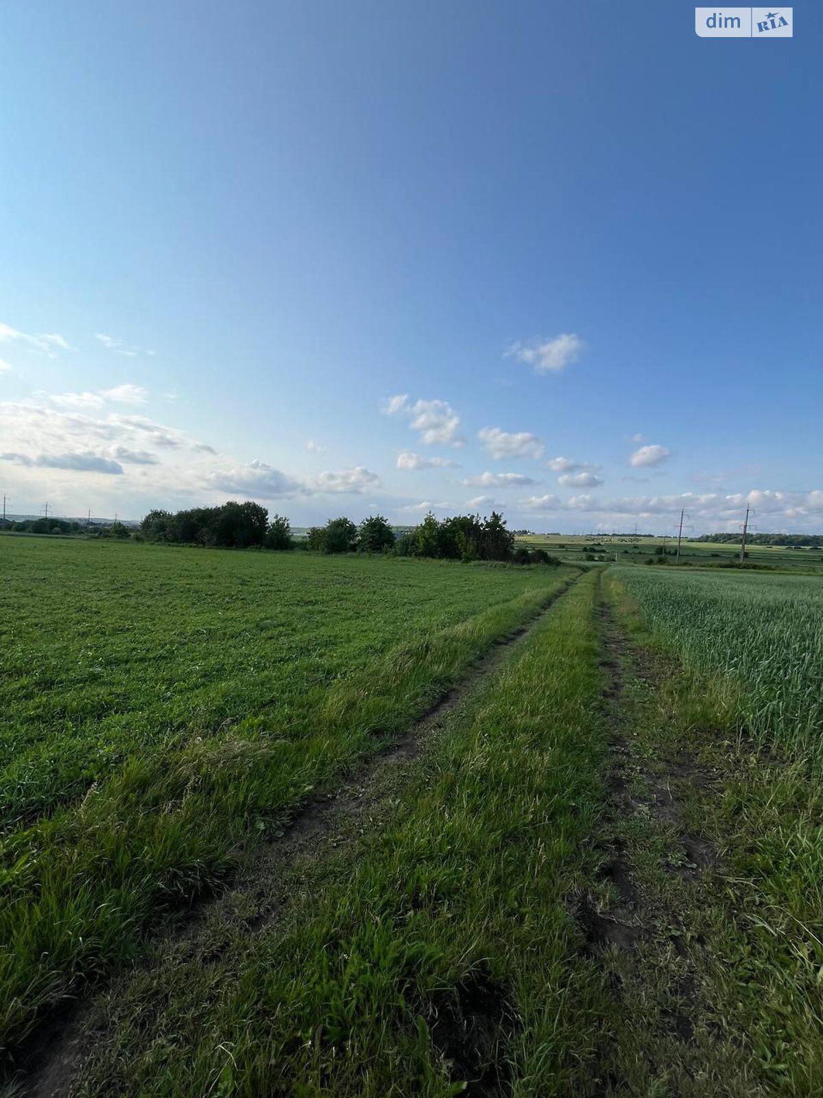 Земля сільськогосподарського призначення в Великій Березовиці, район Кемпінг, площа 8 соток фото 1 Земля сільськогосподарського призначення в Великій Березовиці, район Кемпінг, площа 8 соток фото 1