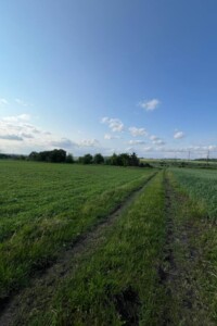 Земля сільськогосподарського призначення в Великій Березовиці, район Кемпінг, площа 8 соток фото 2