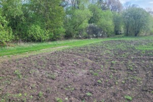 Земельна ділянка сільськогосподарського призначення в Великій Березовиці, площа 27 соток фото 2