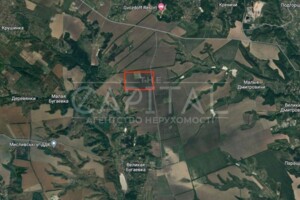 Земельна ділянка сільськогосподарського призначення в Великій Бугаївці, площа 1762 сотки фото 2