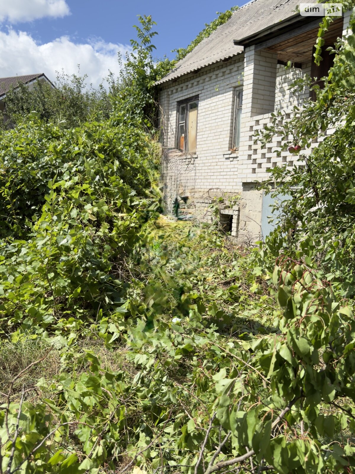 Земельный участок сельскохозяйственного назначения в Великой Бугаевке, площадь 6.03 сотки фото 1 Земельный участок сельскохозяйственного назначения в Великой Бугаевке, площадь 6.03 сотки фото 1
