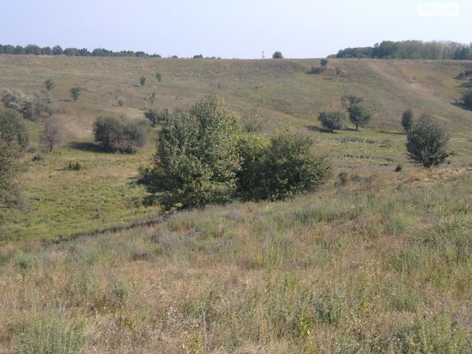 Земельна ділянка сільськогосподарського призначення в Великій Бугаївці, площа 1.9094 Га фото 1 Земельна ділянка сільськогосподарського призначення в Великій Бугаївці, площа 1.9094 Га фото 1