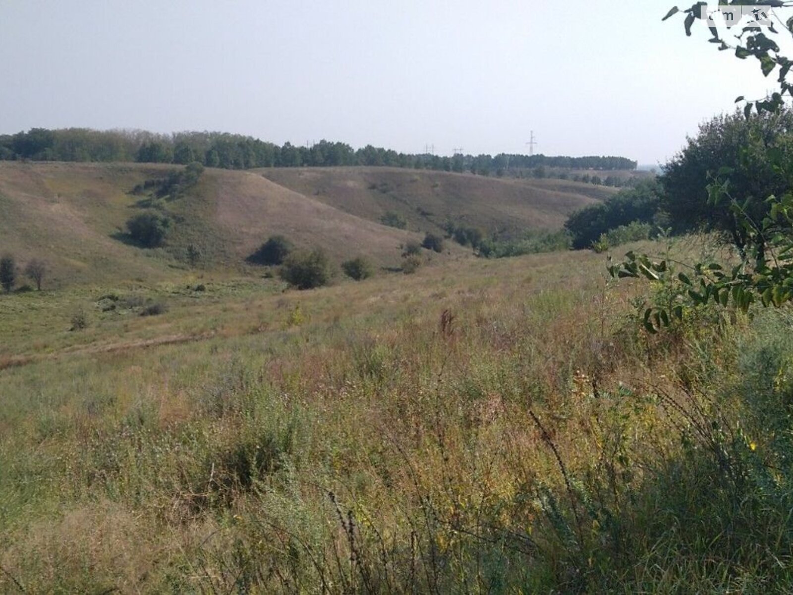 Земельна ділянка сільськогосподарського призначення в Великій Бугаївці, площа 1.9094 Га фото 1 Земельна ділянка сільськогосподарського призначення в Великій Бугаївці, площа 1.9094 Га фото 1