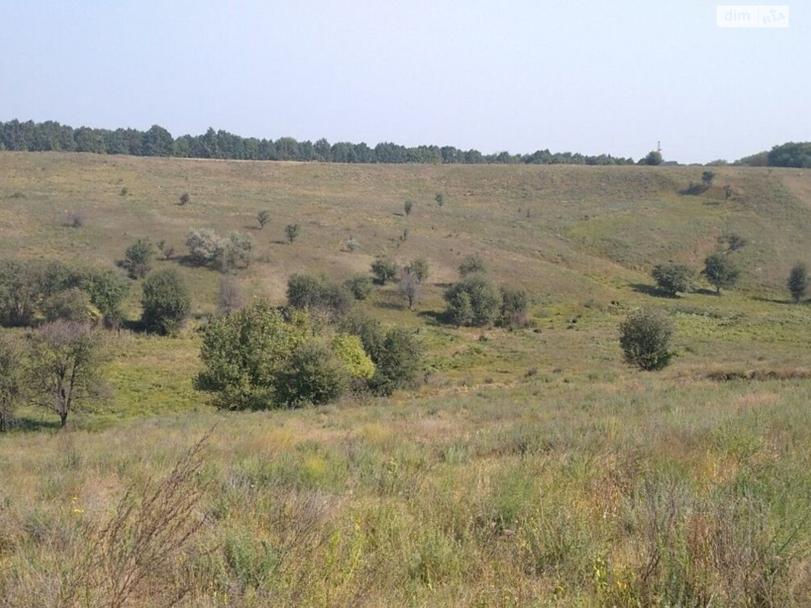 Земельна ділянка сільськогосподарського призначення в Великій Бугаївці, площа 1.9094 Га фото 1 Земельна ділянка сільськогосподарського призначення в Великій Бугаївці, площа 1.9094 Га фото 1