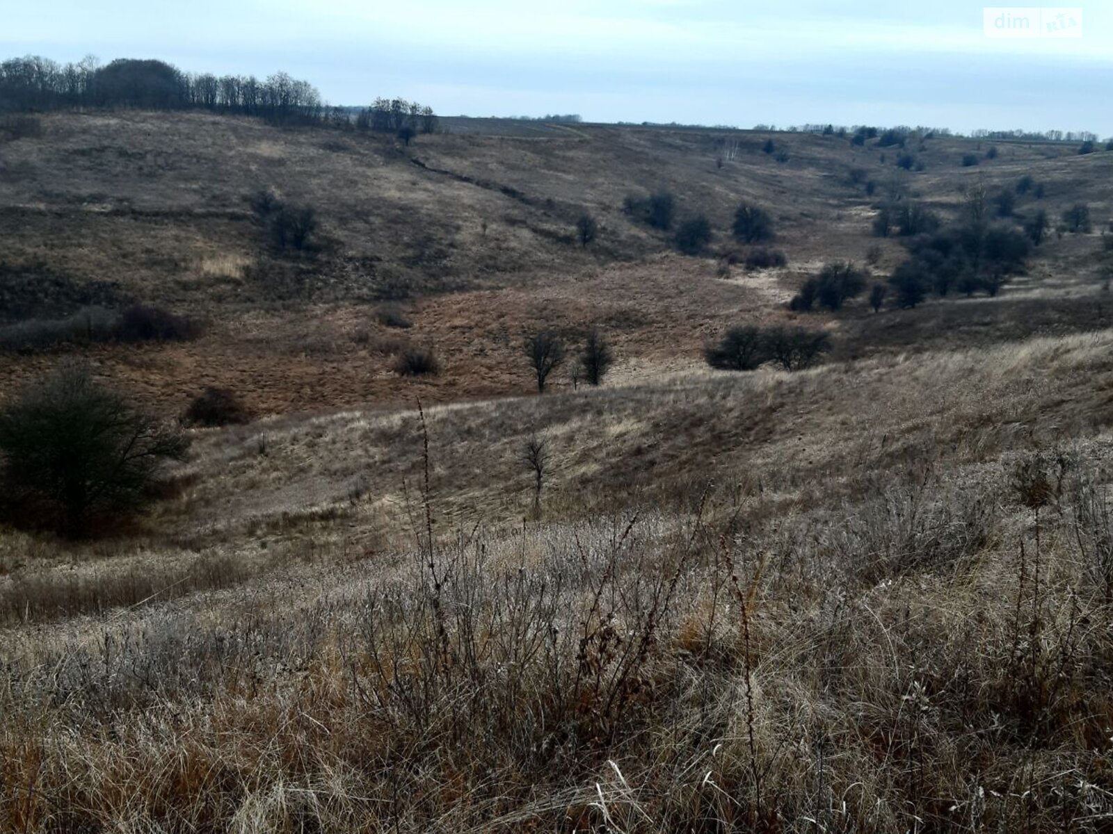 Земельный участок сельскохозяйственного назначения в Великой Бугаевке, площадь 1.905 Га фото 1